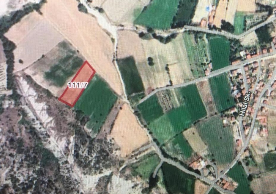 Fotoğraf